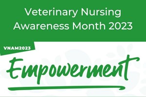 Veterinary Nursing Awareness Month at Palmerston Vets