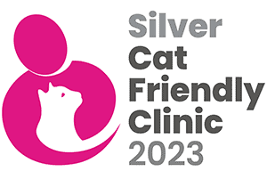 silver cfc logo